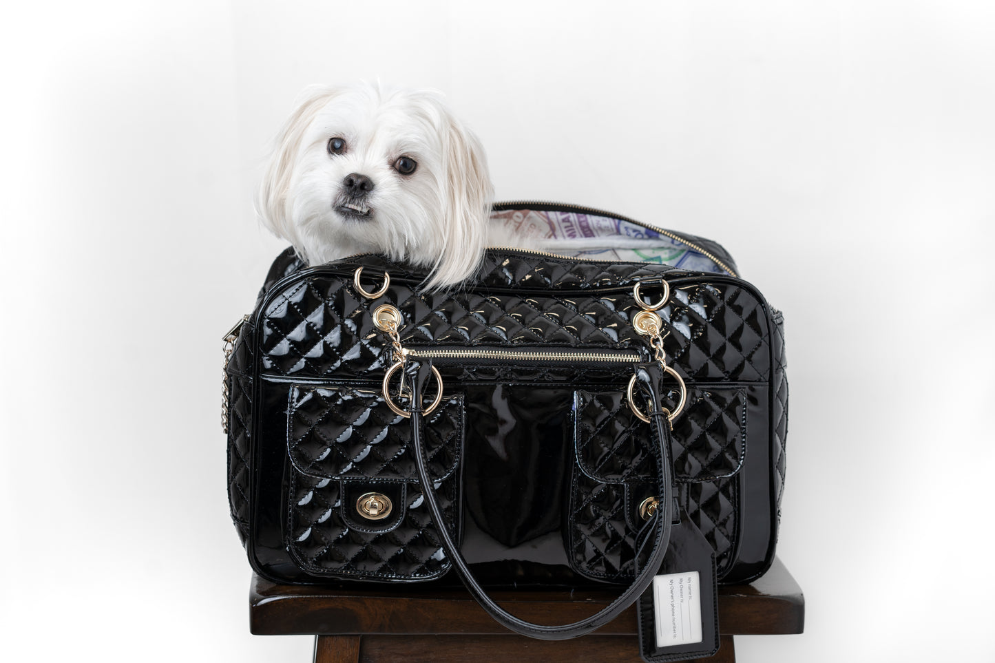 The "Doggy Bag" Carrying Case