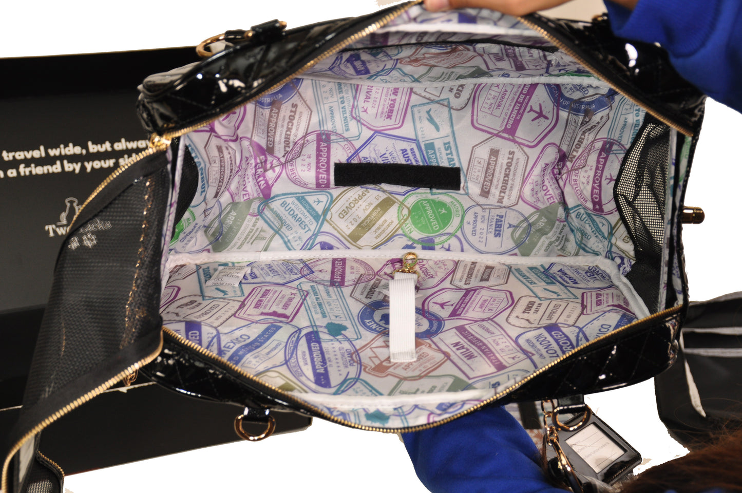 The "Doggy Bag" Carrying Case