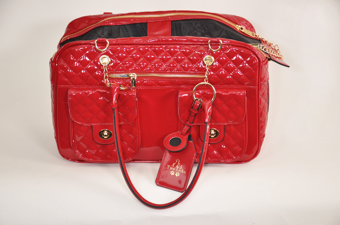 The "Doggy Bag" Carrying Case