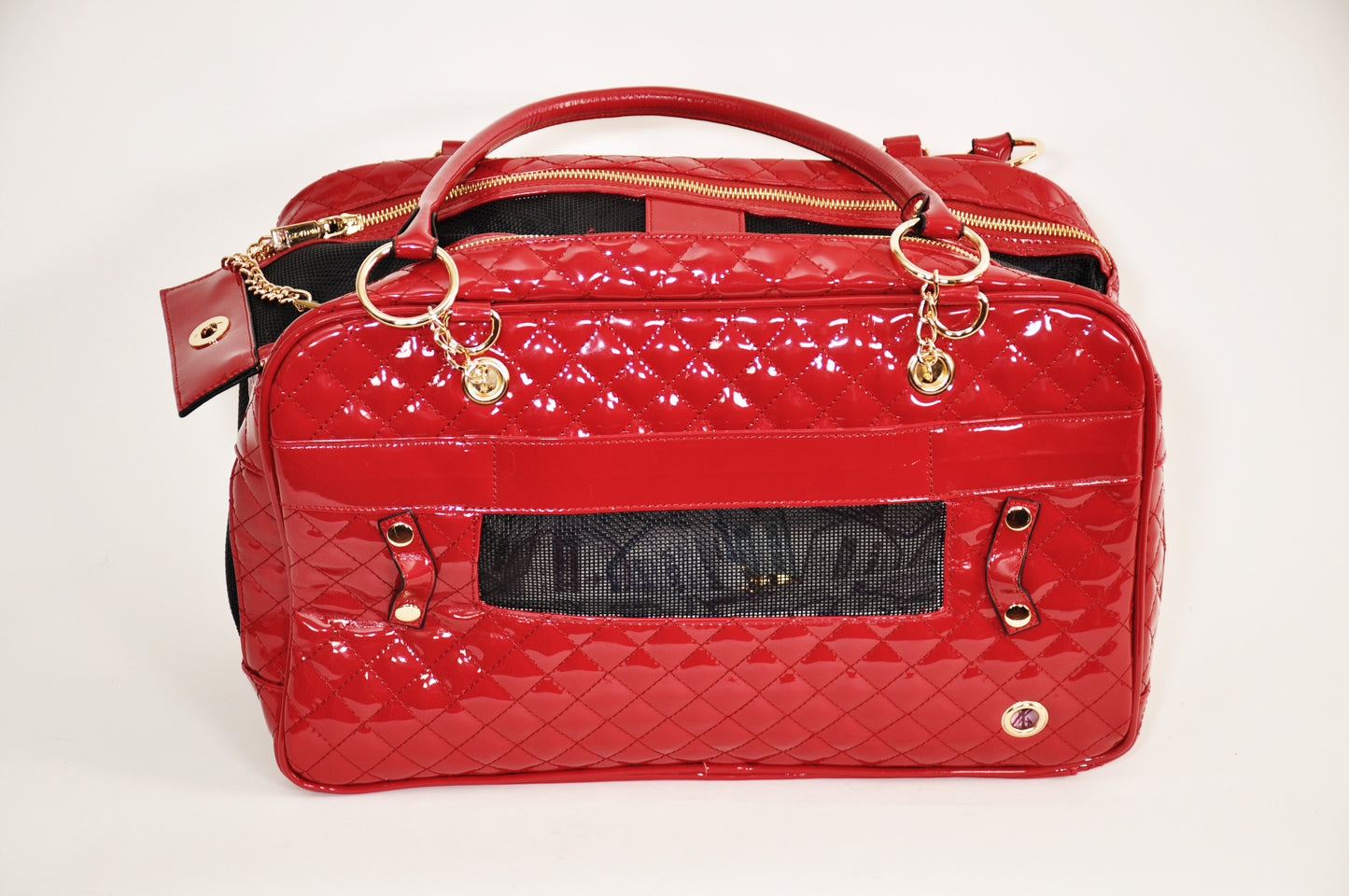 The "Doggy Bag" Carrying Case
